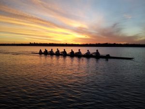 people rowing